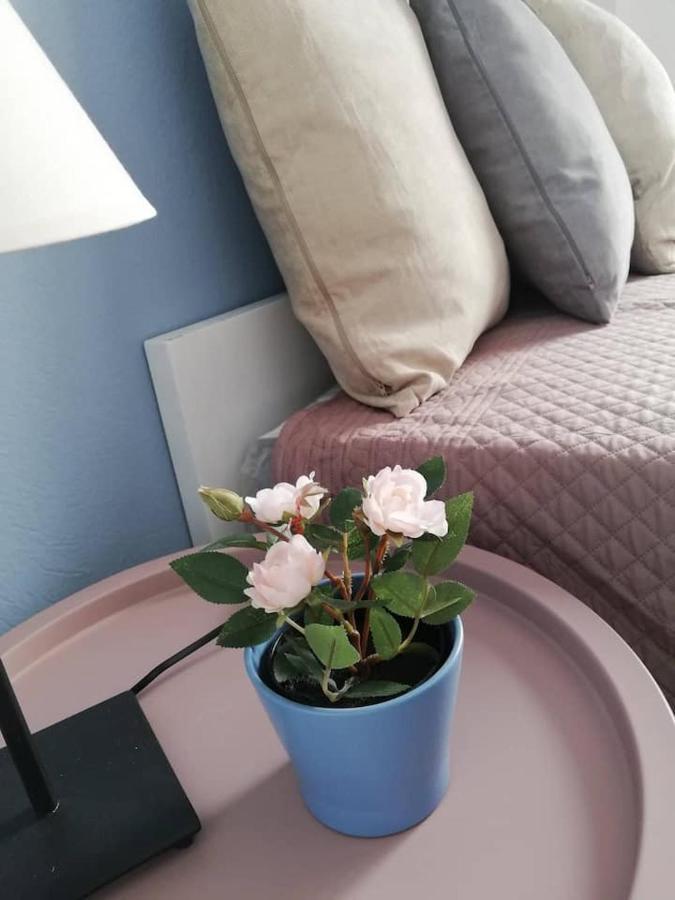The Rose Apartment 沃洛斯 外观 照片